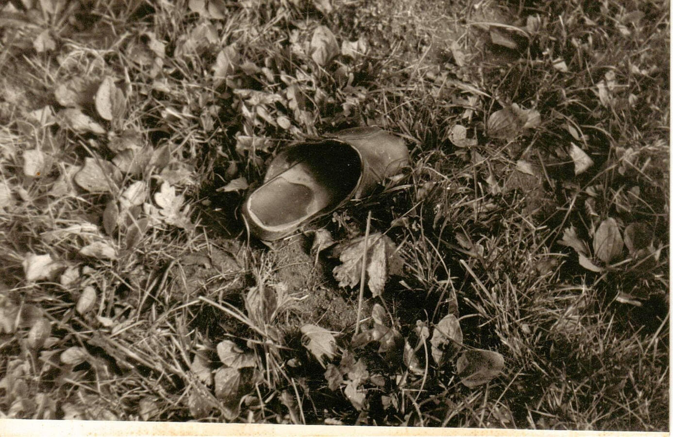 B&W Photography Still #9 by Renata Plis